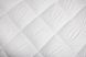 Одеяло ТЕП «White comfort» (MICROFIBER) 200х220 см 24092020-44-3 фото 2
