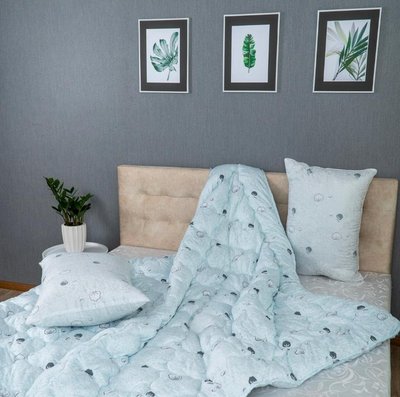 Комплект ЭКО - 2 подушки (50х70) + одеяло (175х205) A1004023-A1001012 фото