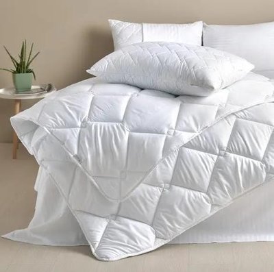 Комплект Комфорт - 2 подушки (50х70) + одеяло (200х220) 24092020-44-3-24092020-13 фото